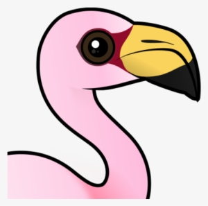 About The James's Flamingo - James's Flamingo