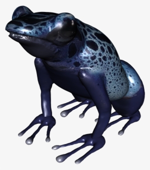 Clip Royalty Free Stock Clip Art Underside Of Png Blue - Poison Dart Frog Png