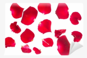 Petal