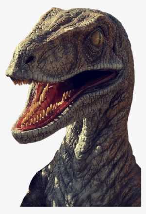 Dinosaur In Png - Velociraptor Jurassic Park