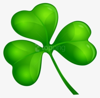 Shamrock Clover Png Clip Art Image - Clip Art