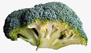 Organic Food Vegetable Broccoli Fruit - Frase Cuando Estas Dieta