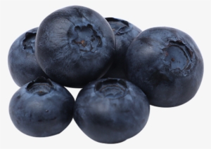 Blueberry - - I.g International Pvt Ltd