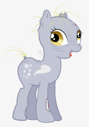 Derpy Hooves Rainbow Dash Rarity Twilight Sparkle Horse - Derpy Hooves