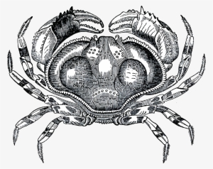 This Free Icons Png Design Of Grayscale Crab