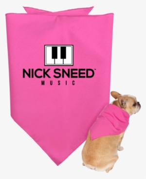 Nick Sneed Music Doggie Bandana
