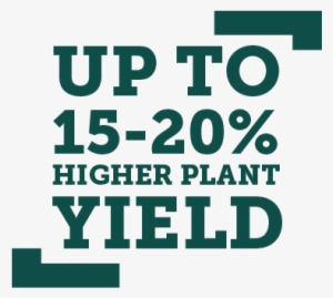 Up To 15 20% Higher Yield - Poster