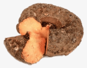 Vegetables - Elephant Yam