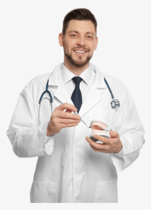 Dentist Png