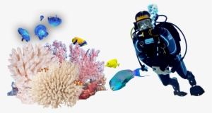 Get The Kit - Illustration