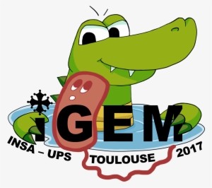 Team - Insa-ups France/microbioworld - 2017 - Igem - International Genetically Engineered Machine