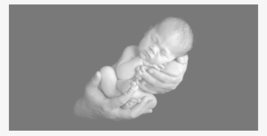 Baby In Hands2000 - Baby