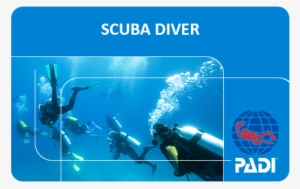 Air Fare, If Any - Padi Open Water Diver Card