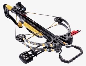 Recruit Youth - Crossbow Raptor Fx2 330fps