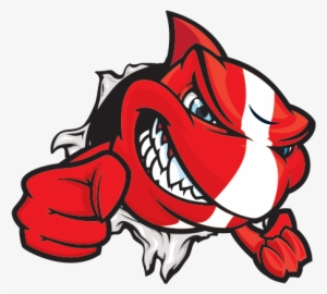 Printed Vinyl Shark Scuba Flag Stickers Factory - Sticker Shark