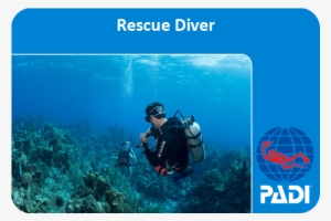 Rescue Diving Certification - Padi Rescue Diver Certification Card