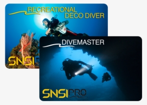 You Can Advance Your Training And Become Qualified - Divemaster