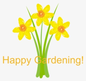 Watercolor Daffodils Gardener 5'x7'area Rug - Birthday