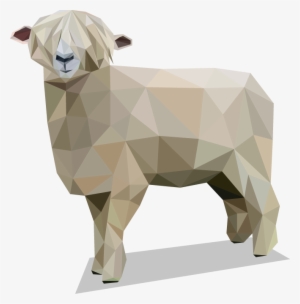 The Lincoln, Sometimes Called The Lincoln Longwool, - Sheep