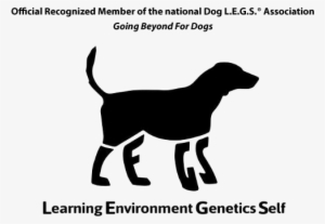 There's A Whole Dog There Wagging That Tail, And Science - Dog