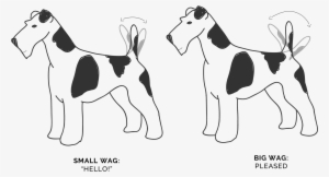 Wagging Tails Movement - Ancient Dog Breeds