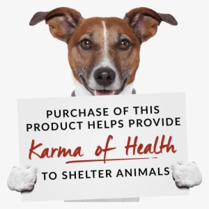 Your Dogs Are Growing And So Are Their Appetites This - Open Weekends