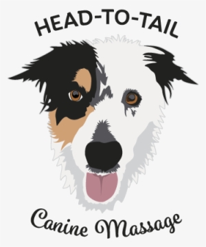 Head To Tail Clinical Canine Massage - Companion Dog