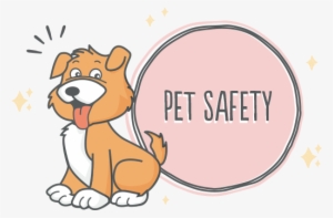 Dog Safety At Happy Tails - Dog
