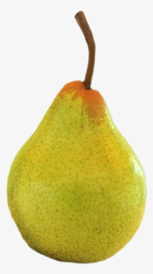 Santos Lda - Frutas Png Pera