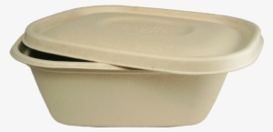 8" X - Compostable Salad Containers