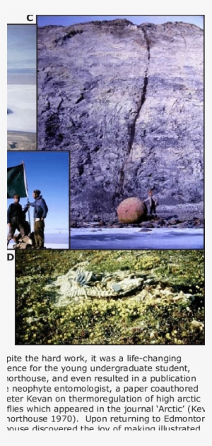 View Of The Frozen Lake And John's Island In The Background - Johns Island