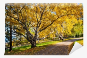 Peaceful Park With Autumn Colors In Trees Wall Mural