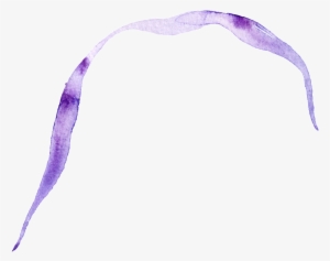 Purple Ribbon Transparent Decorative - Ribbon