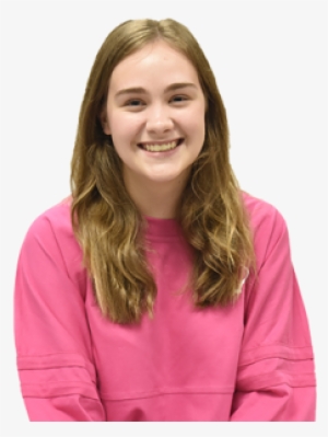 'the Hunger Games - Article