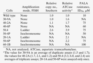 Cad Copy Number, Specific Aspartate Transcarbamylase