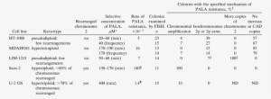 Analysis Of The Basis Of Pala Resistance In Human Cell