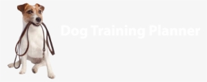 Dog Training Planner - Basic Dogs