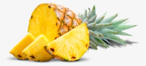 Maui Mike's Lip Balm Spf-15 (24 Assorted)