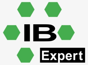 English-language Ibexpert Firebird Developer Week - Ham's Primary Care Geriatrics By Richard J. Ham