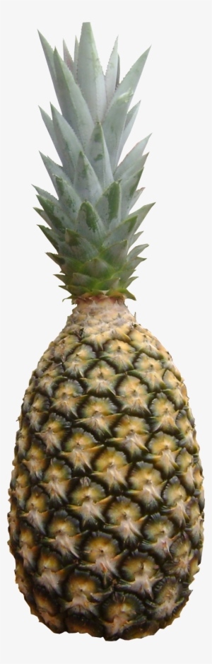 Abacaxi Perola Png - Pineapple