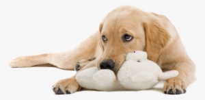 Know Your Nutrition - Sam & Friends: A Collection Of Recollections