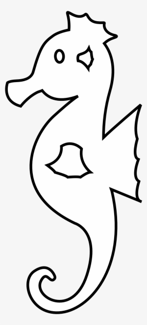 Colorful Animal Sea Horse Black White Line 1979px 129 - Line Drawing Seahorse