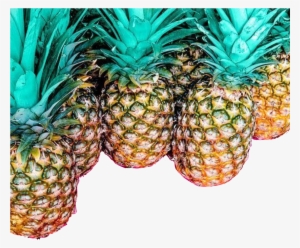 Pink From Victoria Secret