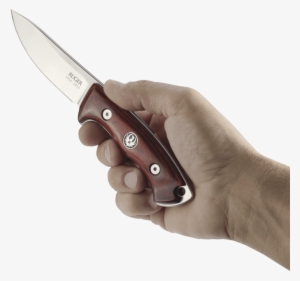 Httpimages Salsify Cbqquorw Padw Clip Eslpd Ptkzbokgaoig - Knife