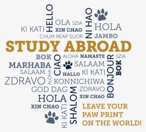 Our Office Of Study Abroad Is Here To Support You On - Fiu Study Abroad