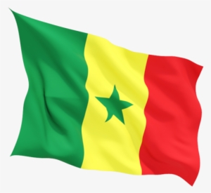Flag Senegal Viscolloids - Flag Of Senegal