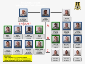 Spring Cc Coc - Organizational Chart Of A Hotel