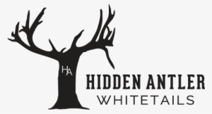 2018 Year Round Sponsors - Antler