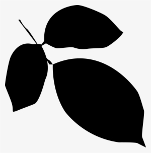 Free Vector Leaves Silhouette At Getdrawings - Leaf Silhouette Vector Png
