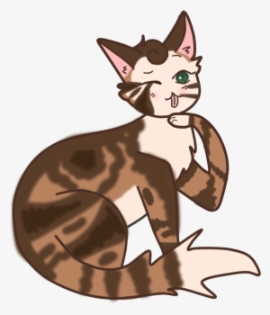 Magnoliaflower - Domestic Short-haired Cat